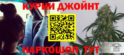 сатива Рыбинск
