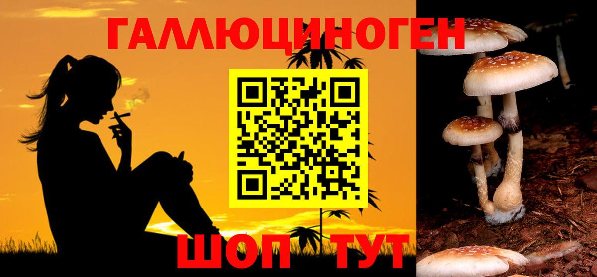 Псилоцибиновые грибы Cubensis Санкт-Петербург